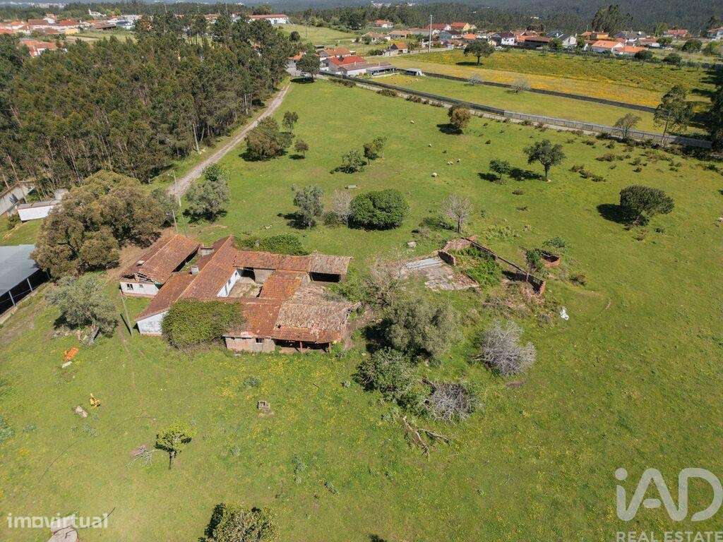 Terreno em Souto da Carpalhosa e Ortigosa de 161861,00 m2 - Grande imagem: 3/17