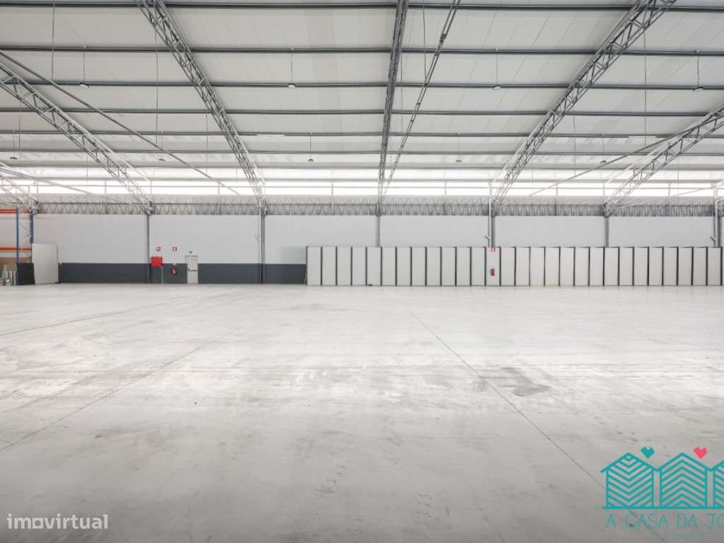 Armazém com 2400m2 em Oliveira do Bairro - Grande imagem: 4/34