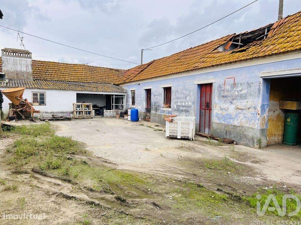 Casa / Villa T3 em Fazendas de Almeirim de 210,00 m2 - Grande imagem: 5/8