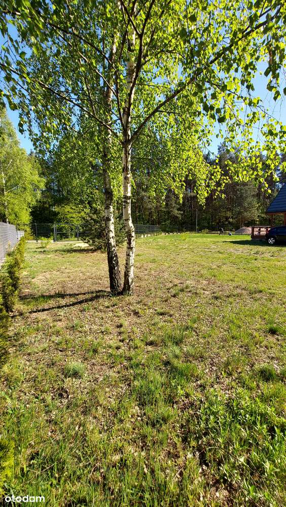 Działka, 900 m², Urle - Pełny obrazek: 3/17