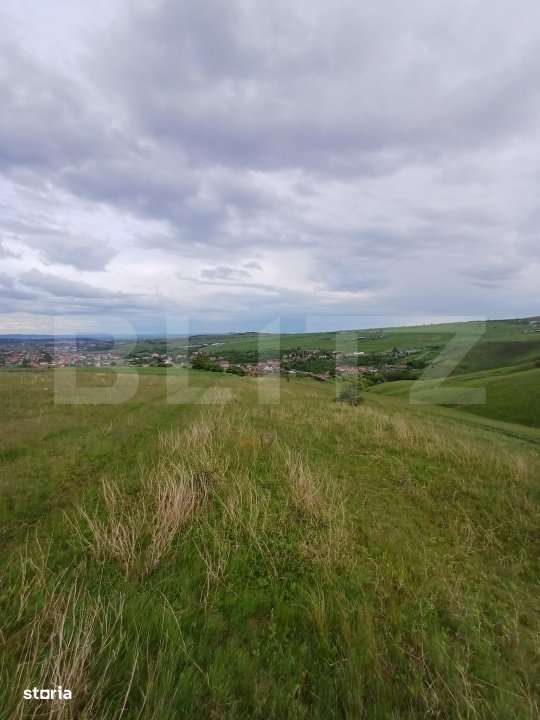 Teren extravilan 1248 mp in Copaceni! Oportunitate investitie! - Imagine principală: 2/4