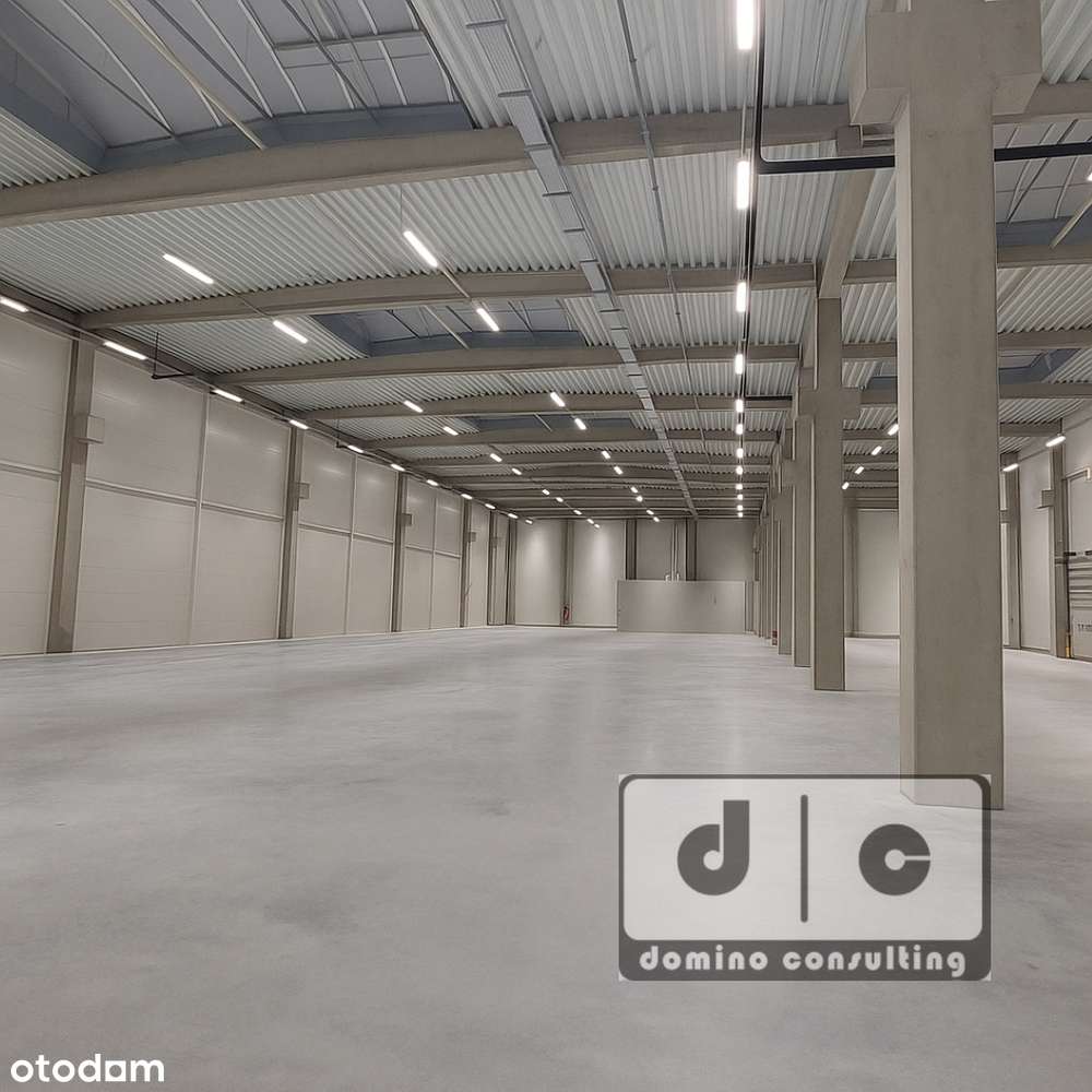 Nowa hala do wynajęcia w Zabrzu. KSSE. - Pełny obrazek: 3/4