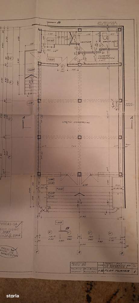 Casa Vila Spatiu Comercial Bucurestii Noi 227 - Imagine principală: 4/20