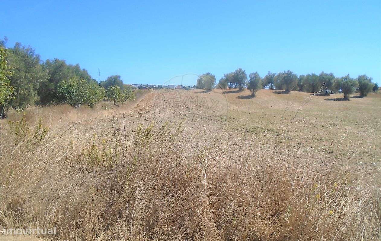 Terreno  para venda - Grande imagem: 3/15