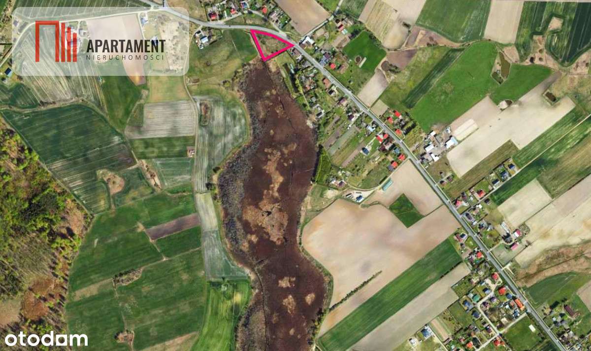 Tylko U Nas! Duża Działka Przy Drodze Krajowej 25! - Pełny obrazek: 5/5