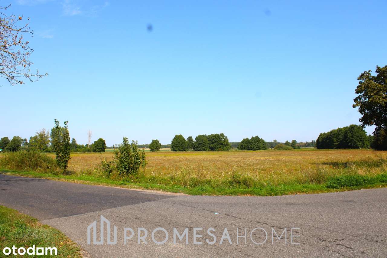 autostrada A2 węzeł Dąbie dojazd asfaltowy działka 23200 m2 SUPER CENA - Pełny obrazek: 4/6
