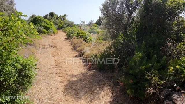 Terreno Rústico com Vista Mar – Fuseta, Olhão - Grande imagem: 4/5