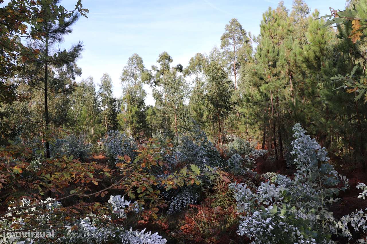Terreno Para Construção  Venda em Lustosa e Barrosas (Santo Estêvão),L - Grande imagem: 2/8