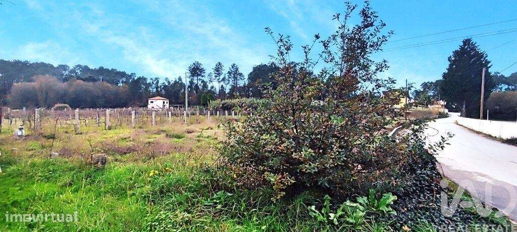 Terreno em Pinheiros de 1,00 m2 - Grande imagem: 4/19