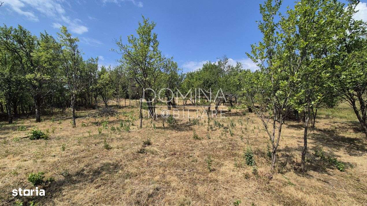 Vanzare proprietate in apropiere de complex turistic Musetesti - Imagine principală: 5/10