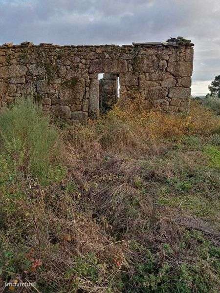 Vende-se Quintinha a Bom Preço - Grande imagem: 4/7