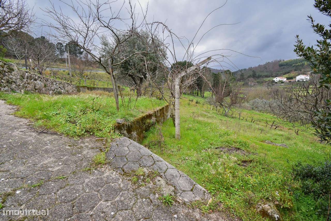 Quinta com construção em Pedra 20.000 m2 de terreno e Licença de Aloja-39