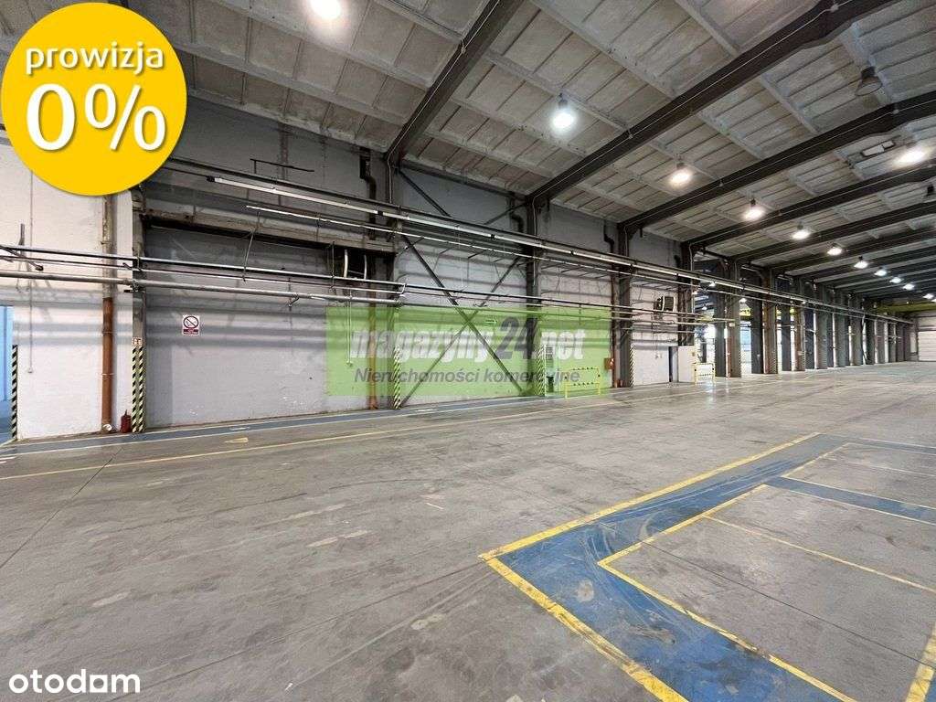 Hala produkcyjna na wynajem, 4000 m2, Pionki - Pełny obrazek: 5/14