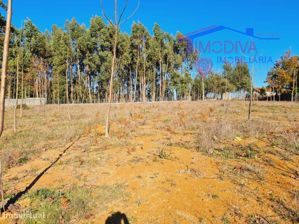 Terreno com 7107m2, viabilidade de construção em Figueiró dos Vinhos - Grande imagem: 3/8