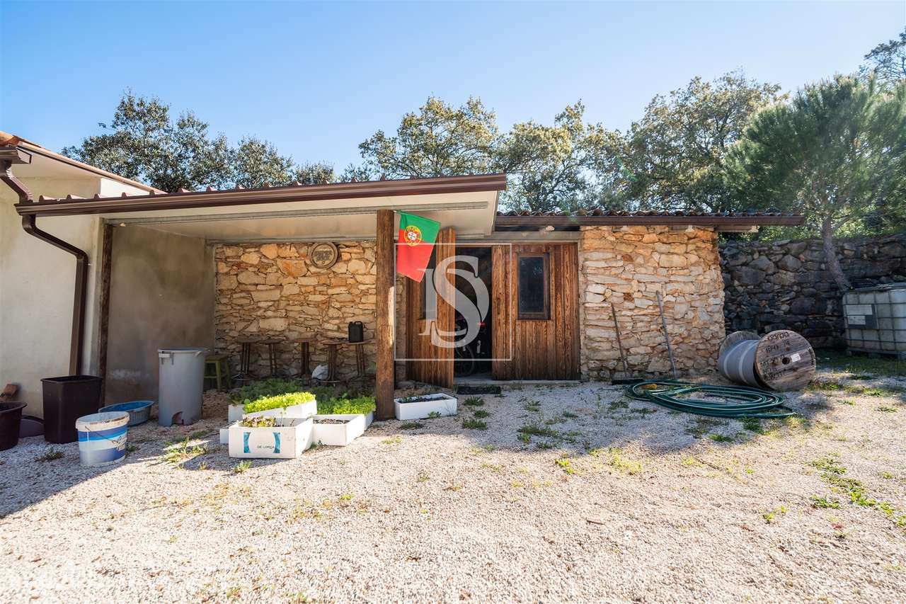 Quinta  Venda em Nossa Senhora das Misericórdias,Ourém - Grande imagem: 5/26