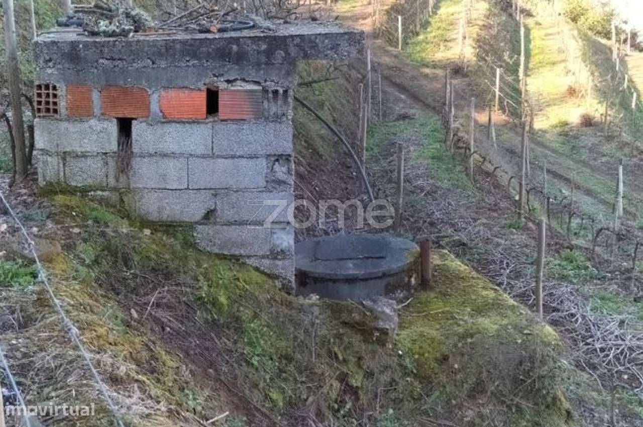 Terreno com 9617m2 distribuidos por Vinha, olival e souto em Vinhós - Grande imagem: 4/5