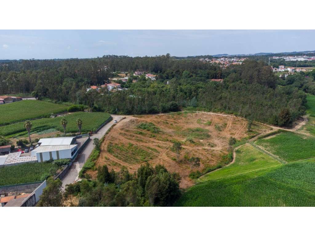 12.480 m² COM VISÃO DE FUTURO EM SANTA MARIA DA FEIRA-12
