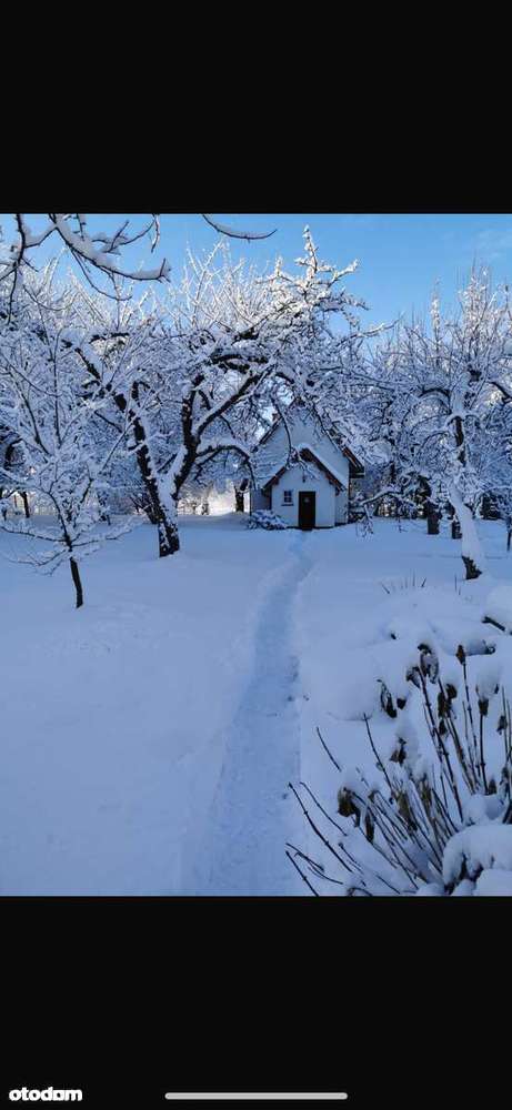 Dom + domek letniskowy + apartamenty + sklep + panele fotowoltaiczne - Pełny obrazek: 4/14