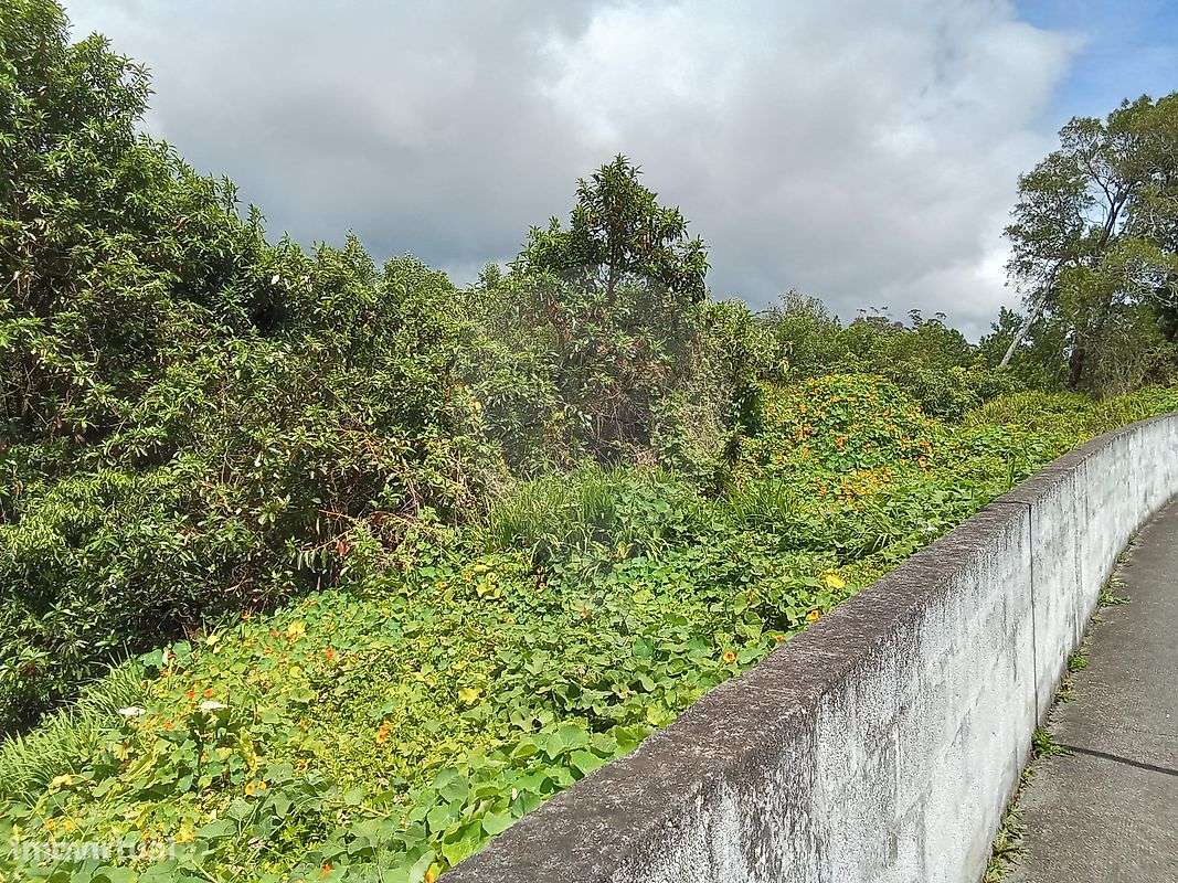 Terreno  para venda - Grande imagem: 5/6