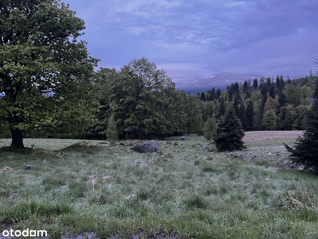 Unikalna działka z widokiem na góry - Pełny obrazek: 4/5