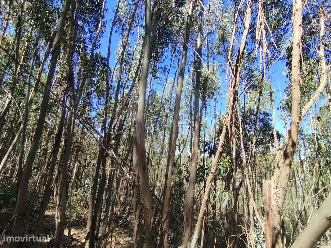 Terreno  para venda - Grande imagem: 3/4