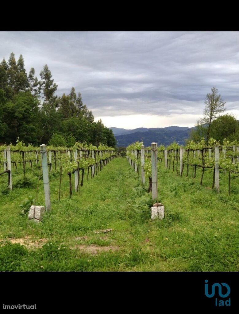 Terreno em Viana do Castelo de 15111,00 m2