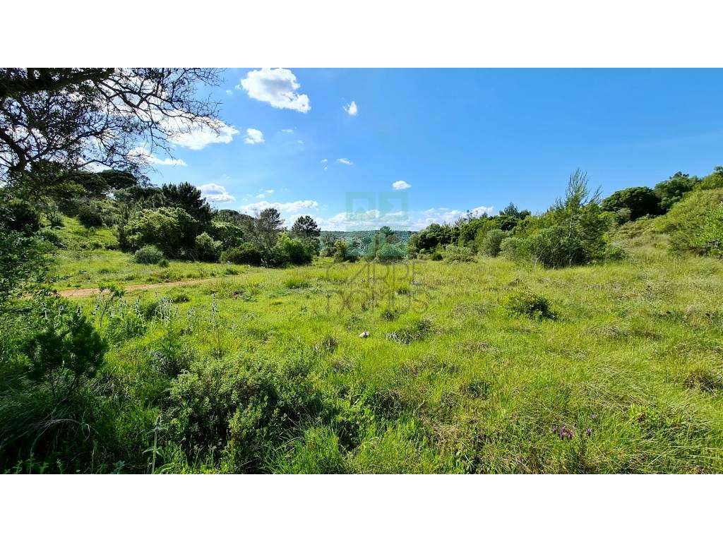 Quinta com 435.487 m2 na Serra da Arrábida, em Palmela, Setúbal-31