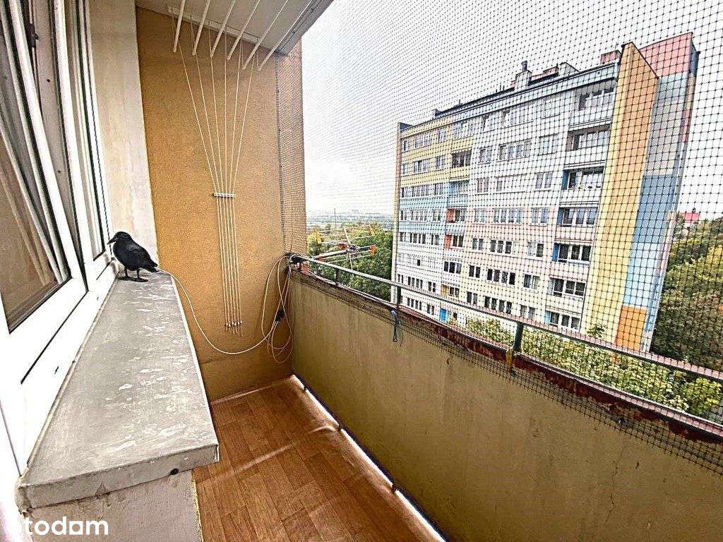 2 pokoje do remontu Kleeberga/Kalinowszczyzna - Pełny obrazek: 4/9