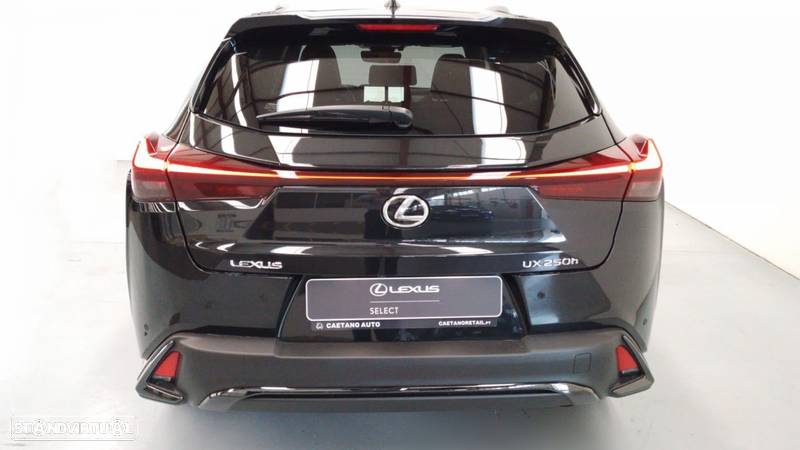 Lexus UX 250h Sport - 6