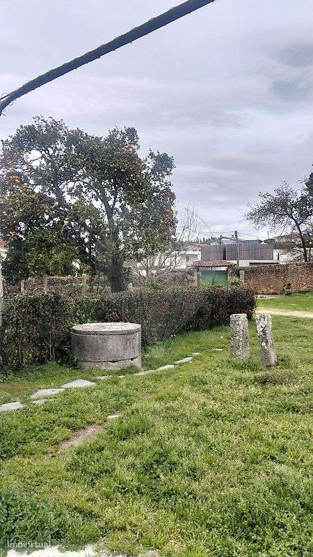 Quinta  para venda-19