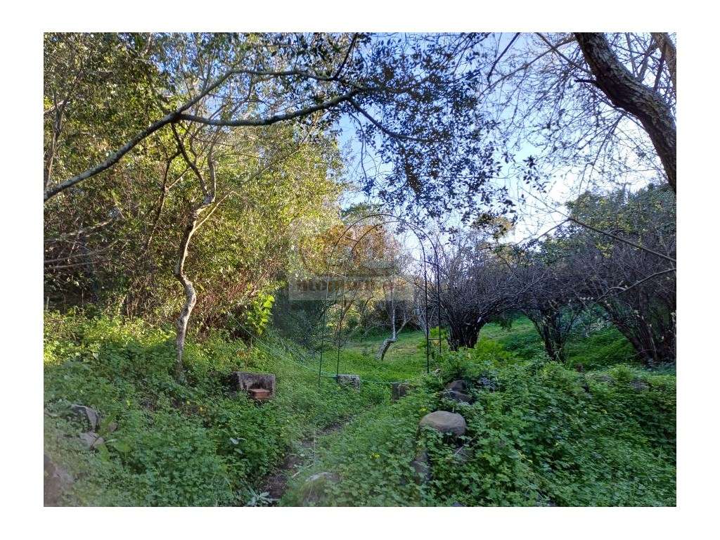 Monte Alentejano aninhado na Natureza - Melides - Grande imagem: 5/12