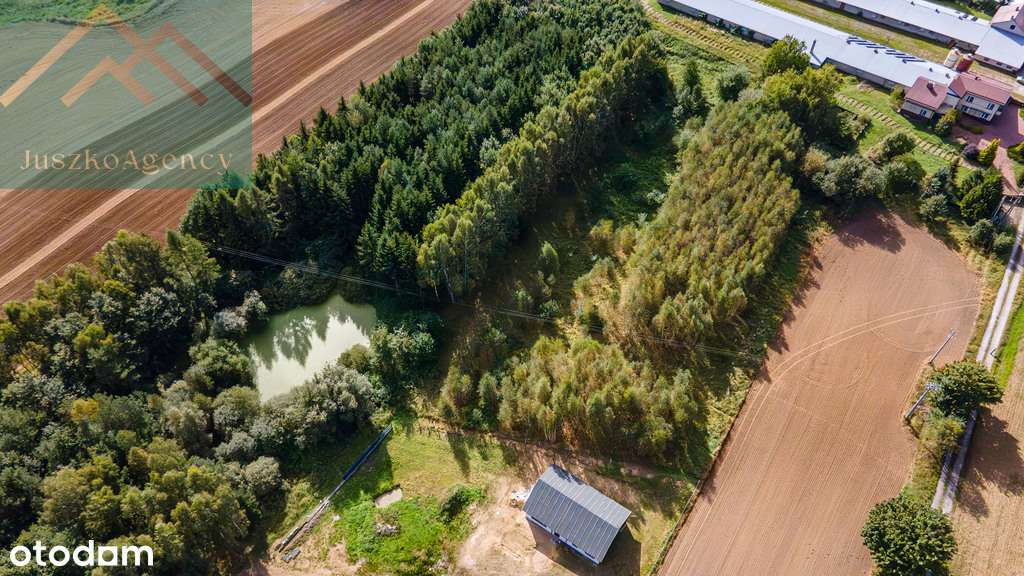 Rychnowo. Działki przy lesie z warunkami zabudowy.-11