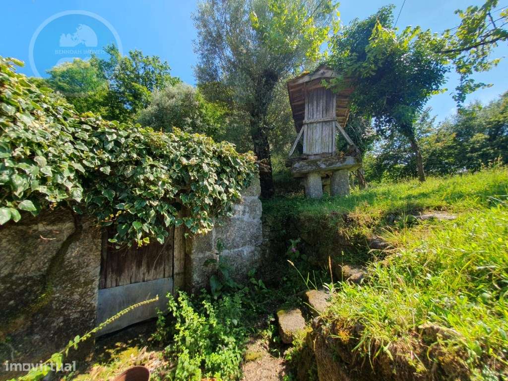 Quinta à venda para restauro em Arroteia freguesia de Rossas-11