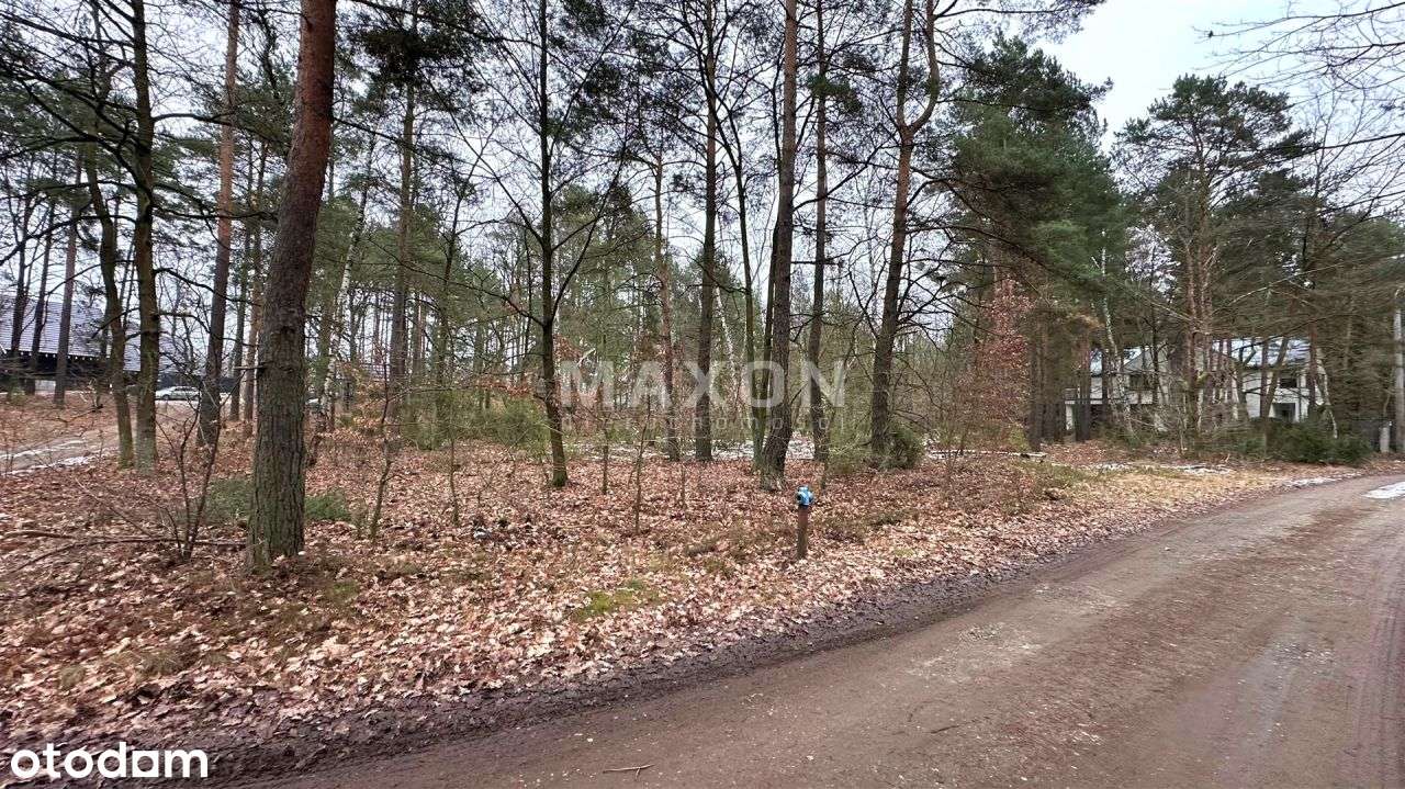 Izabelin B – działka 2 213 mkw. pod rezydencję las - Pełny obrazek: 5/17