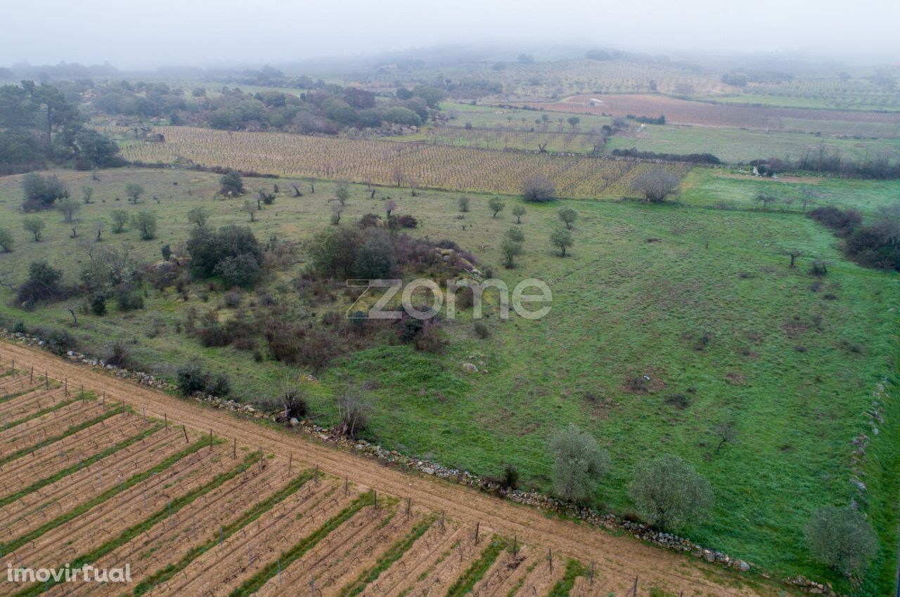 Terreno agrícola com 4 hectares, Vila Nova de Fôz Coa