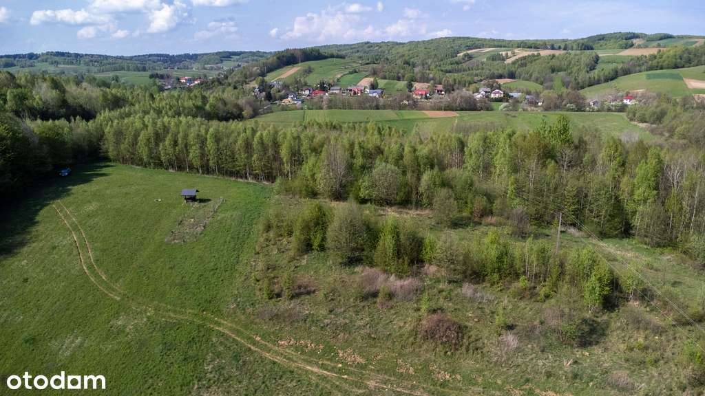 Urokliwa działka rolna 2,05 HA | Laskówka - Pełny obrazek: 4/20