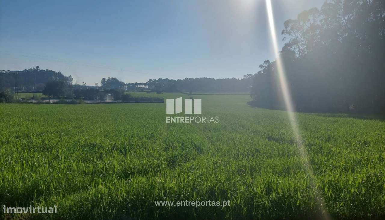 Venda de terreno, Vairão, Vila do Conde - Grande imagem: 5/11