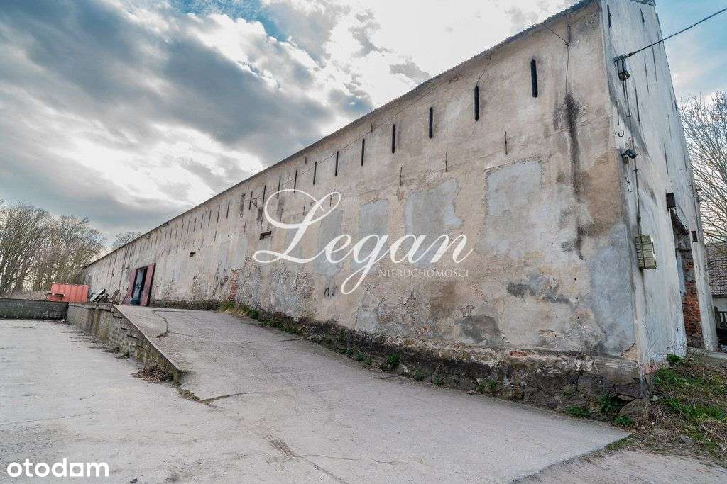 Obiekt komercyjny z halą i biurem – Janczewo - Pełny obrazek: 5/18