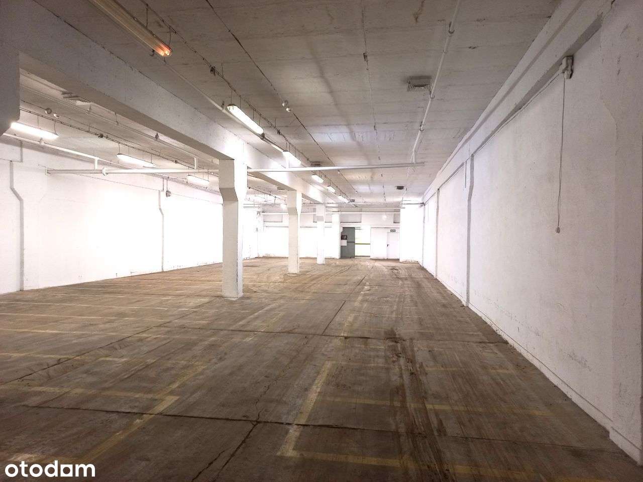 Bezpośrednio, powierzchnia magazynowa 485m2 - Pełny obrazek: 4/5