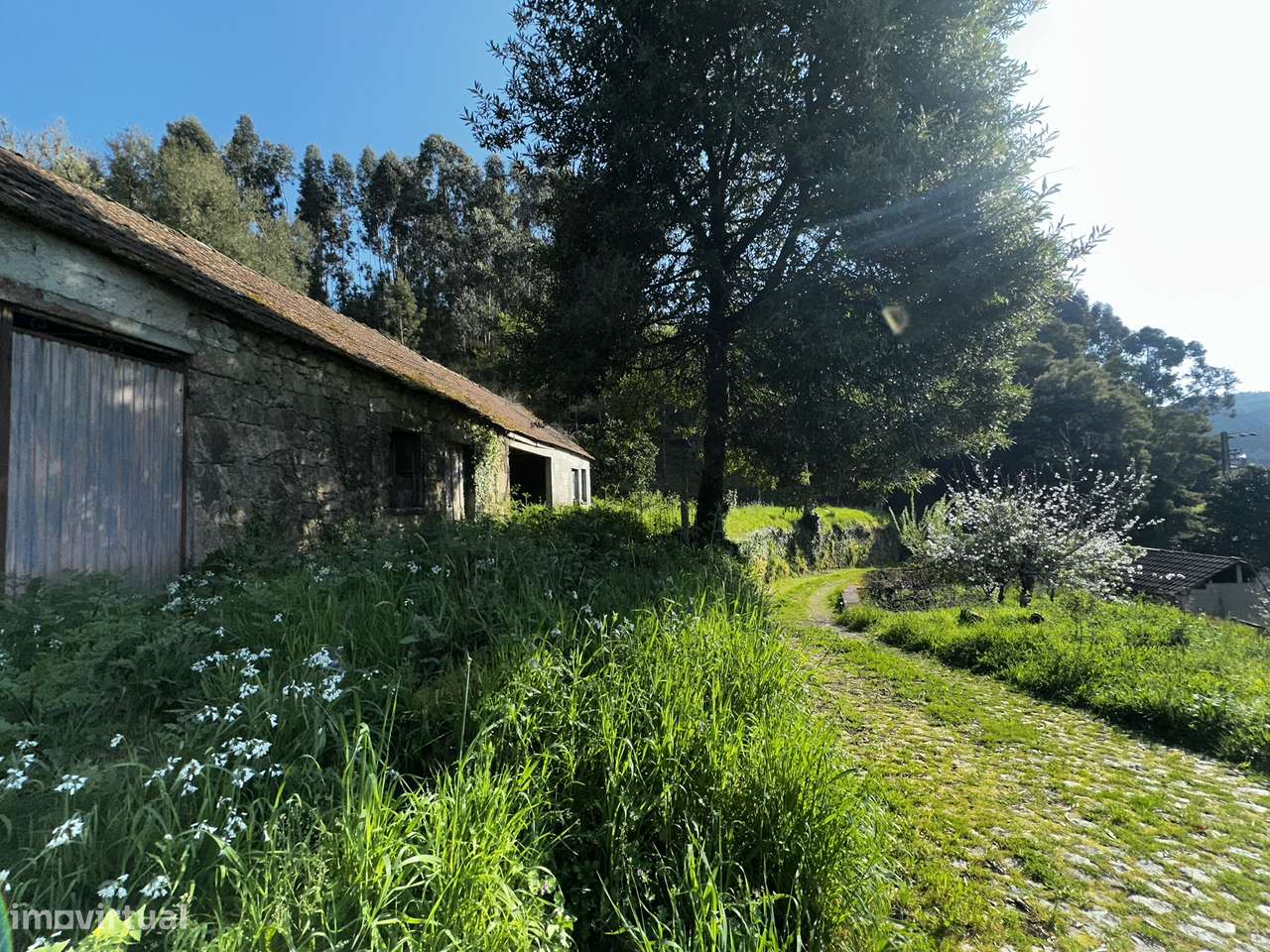 Moradia para restauro em São Julião, Valença.-16