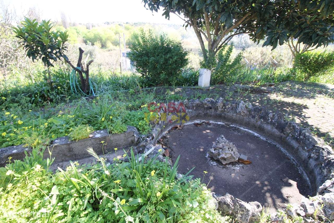 Moradia T3+2 Venda em Zibreira,Torres Novas-24