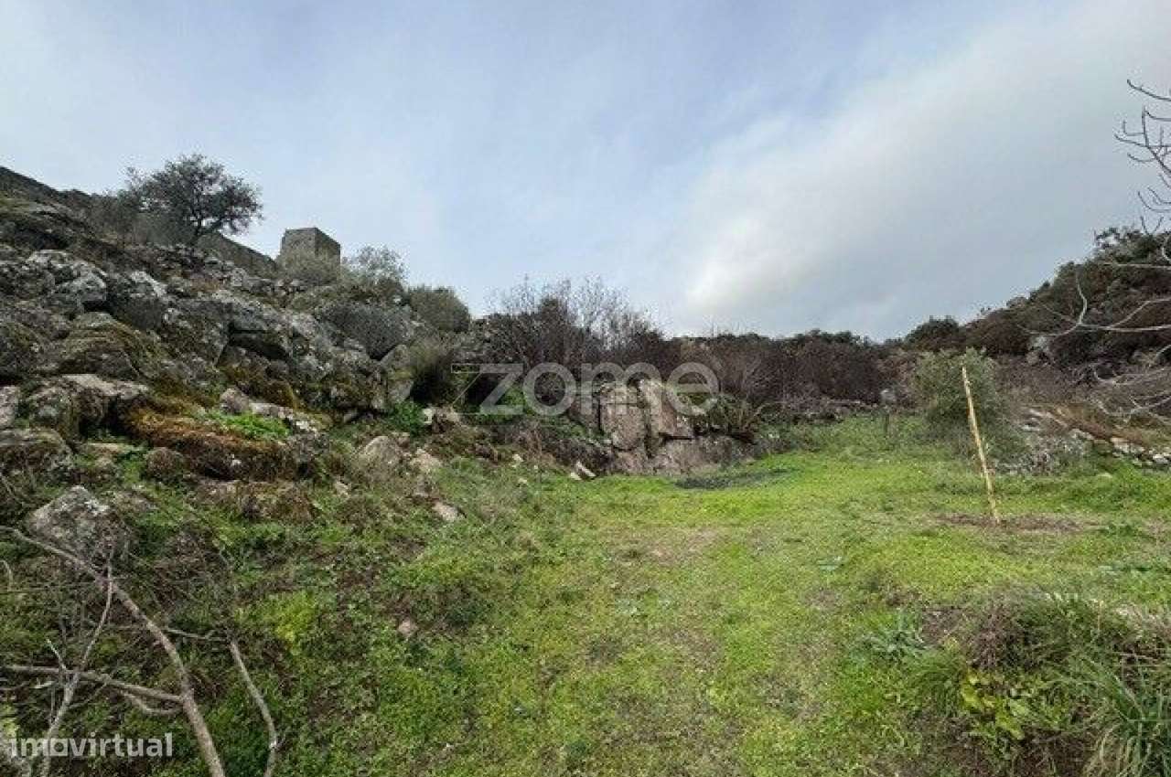 Terreno Rustico em Marialva- Guarda - Grande imagem: 4/15