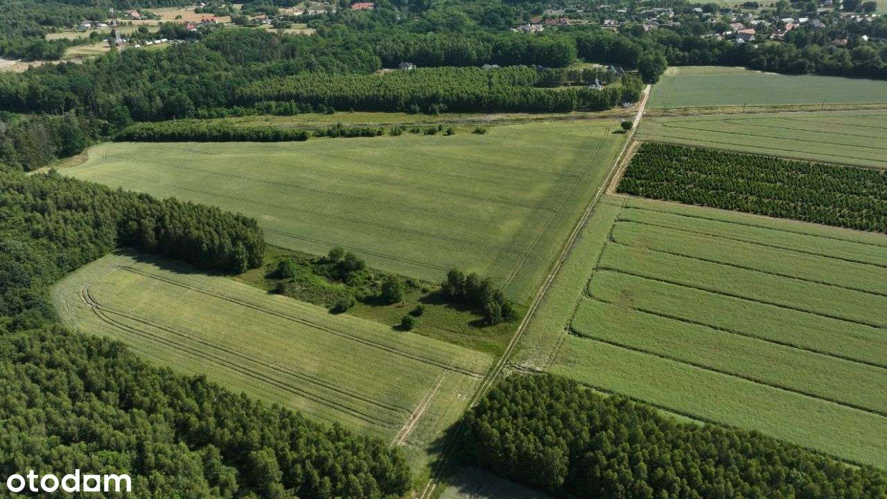 OSTATNIE DZIAŁKI - Strzelinko - komplet uzbrojenia-7