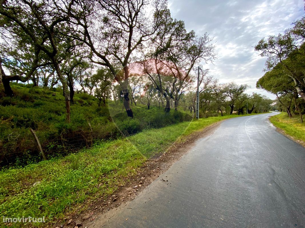 Terreno  para venda