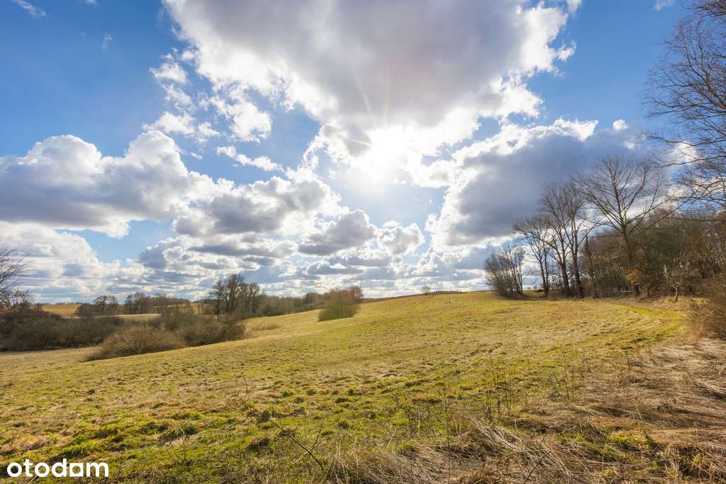 2 pokoje z ogrodem, las i jezioro-12