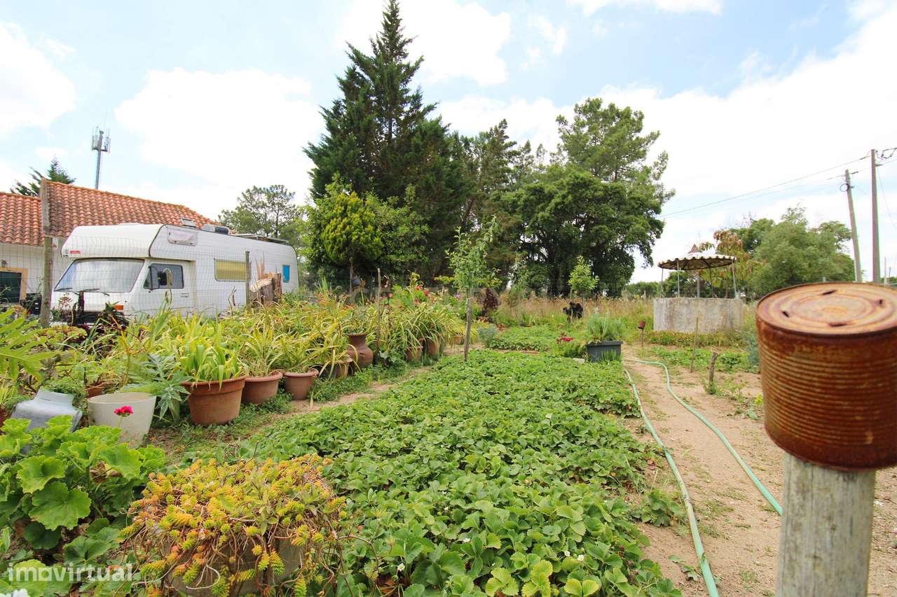 Quinta com Moradia Bi-familiar, construída num lote de 7.500 m2, em Pa-29