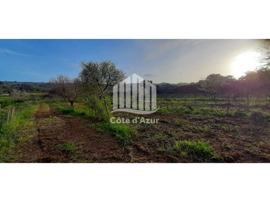 Terreno com 4400m2 em Quinta do Anjo - Grande imagem: 3/11