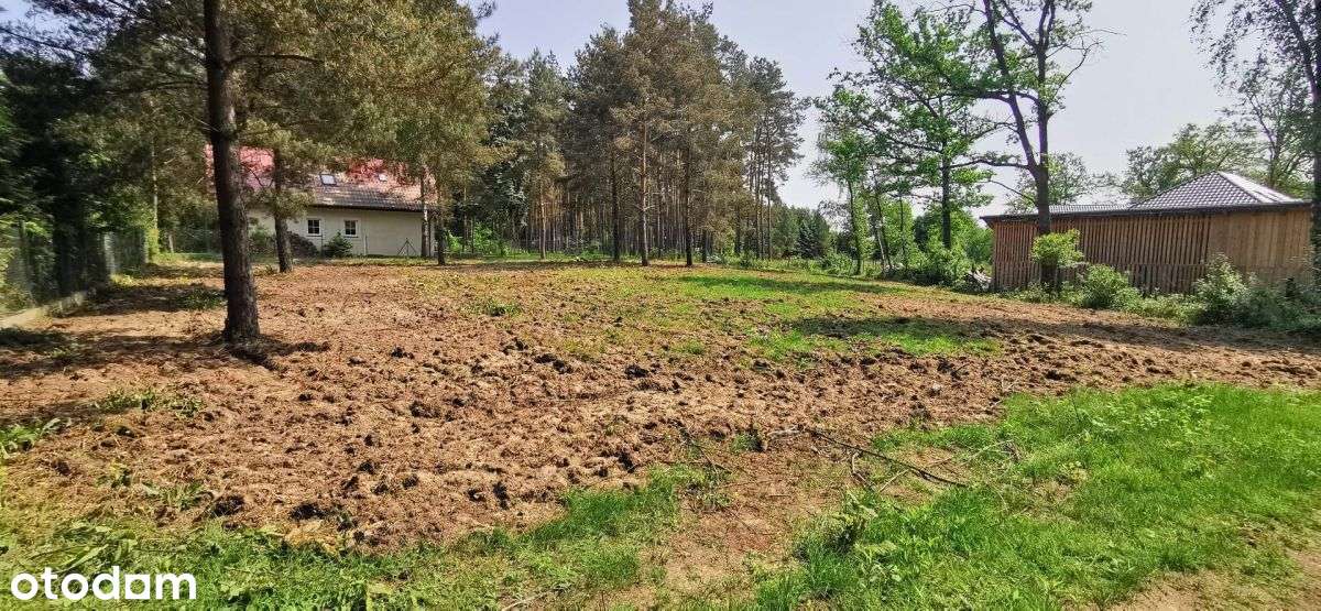 Działka Budowlana Blisko Narwi I Zegrza - Pełny obrazek: 5/20