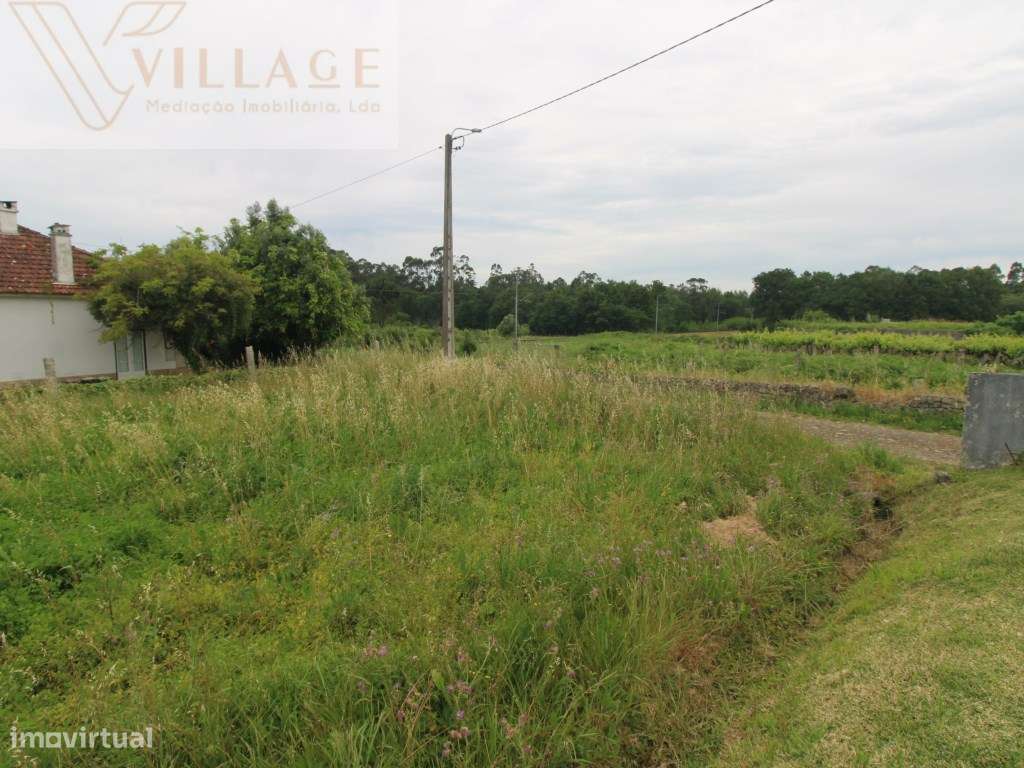 Terreno - Grande imagem: 5/8