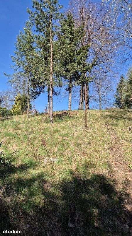 Janowice Wlk. Mały dom 3 pok. 65 m2-14